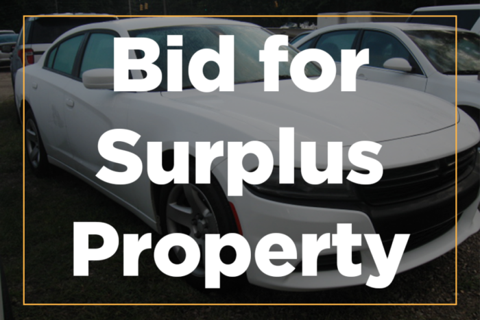 Bid for Surplus Property